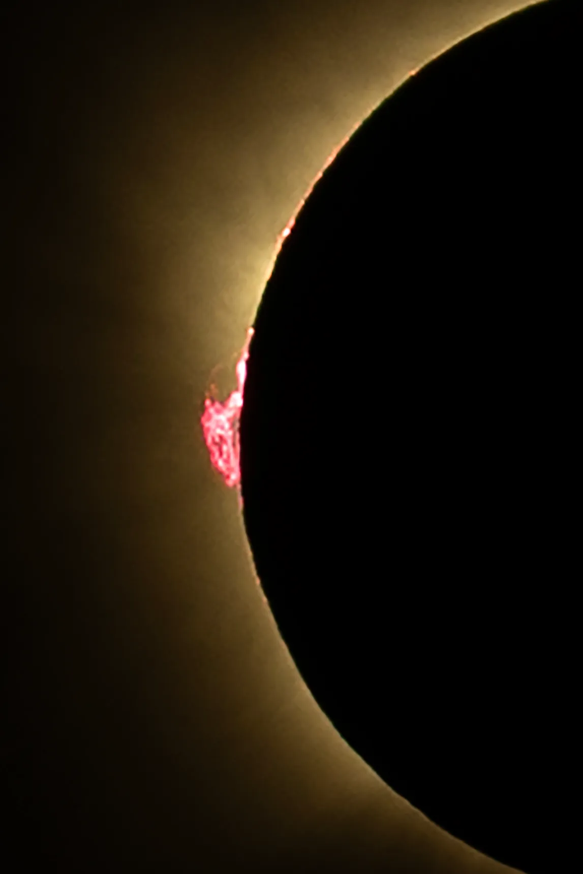 Solar prominences during the 12 August 2026 total solar eclipse.