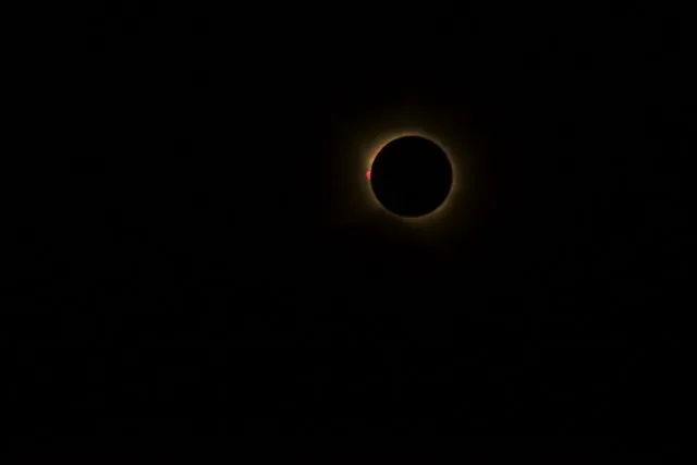 Solar prominences during the 12 August 2026 total solar eclipse.